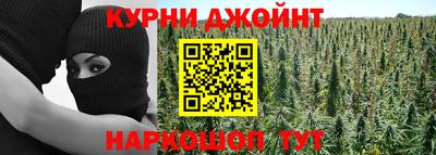 Альфа ПВП Будённовск
