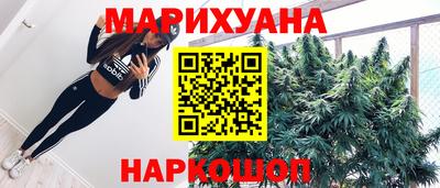 Альфа ПВП Будённовск