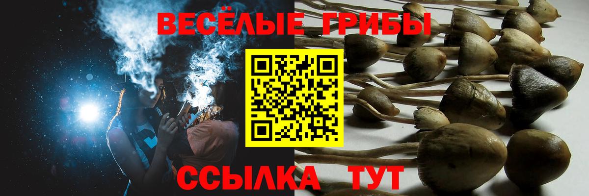 Сердобск  Галлюциногенные грибы MAGIC MUSHROOMS  Псилоцибиновые грибы Psilocybe  Вход с VPN 